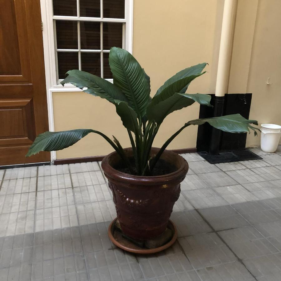 101 Suites Paramaribo Extérieur photo